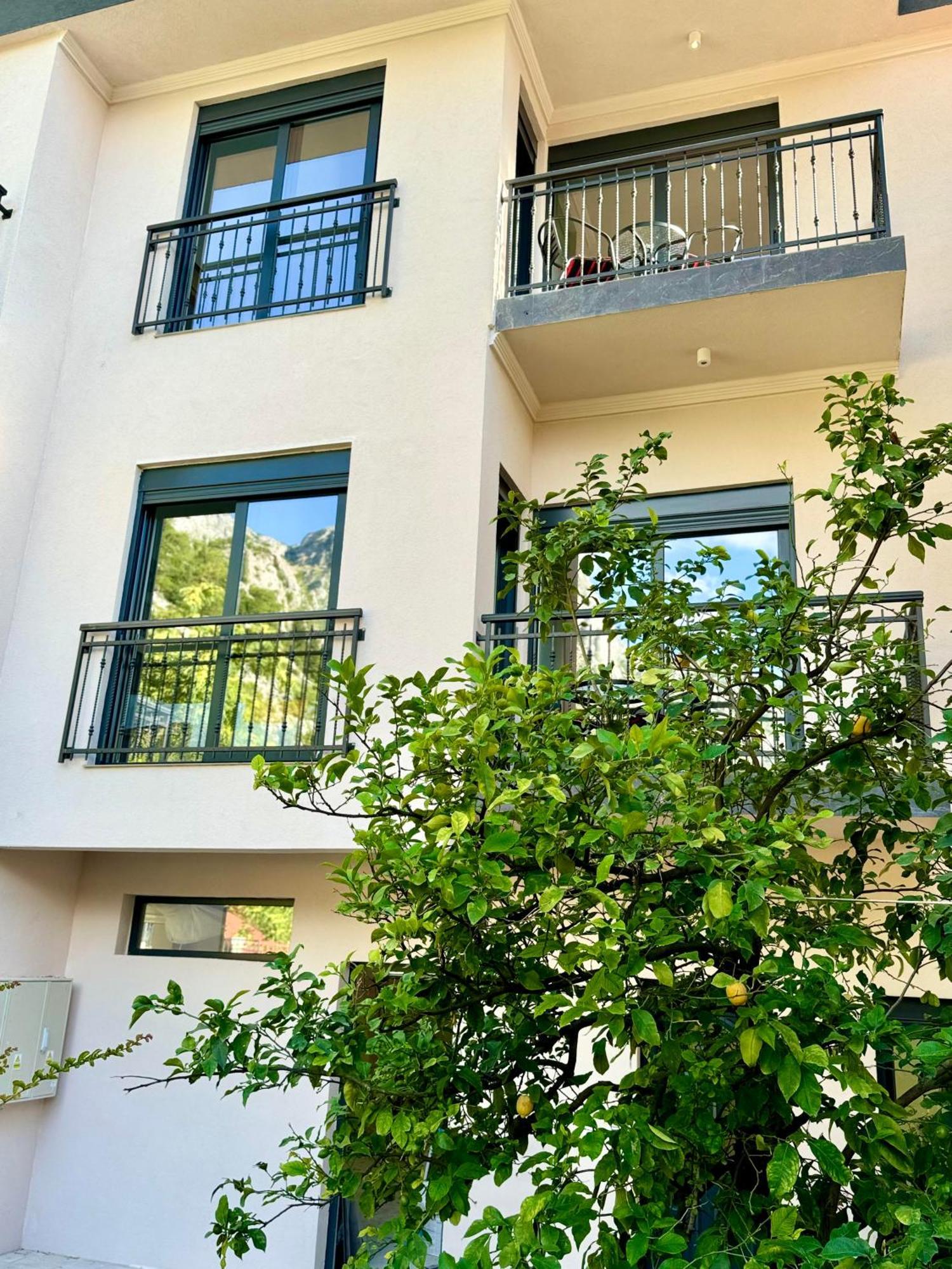 Harmony Garden Apartments Kotor Extérieur photo
